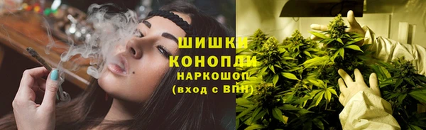 индика Верхнеуральск