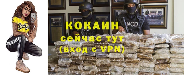 индика Верхнеуральск