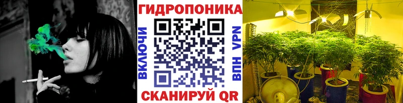 МАРИХУАНА конопля  Чекалин 